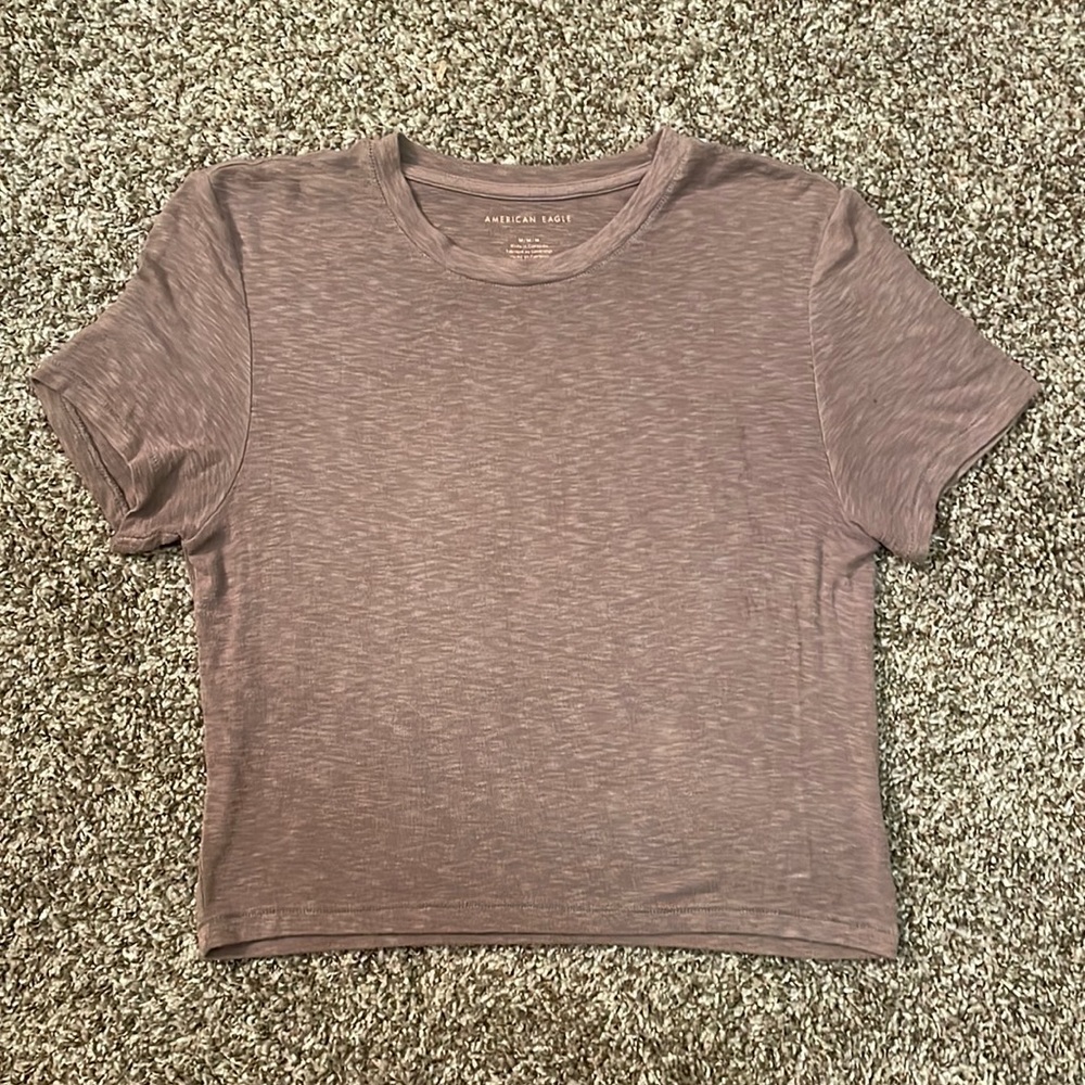 American Eagle, Soft Wash Cropped Tee, Size M, Color is slightly Taupe